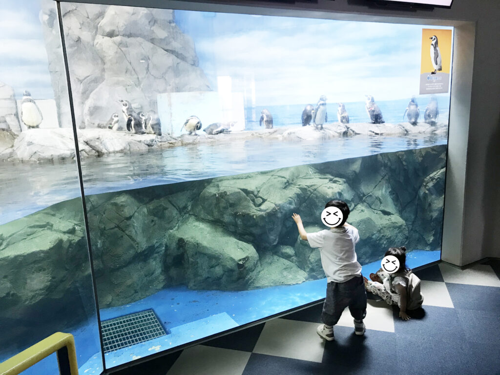 障害者手帳のメリットを活用して、お得に楽しくお出かけしよう!江ノ島水族館 入場料 障害者割引